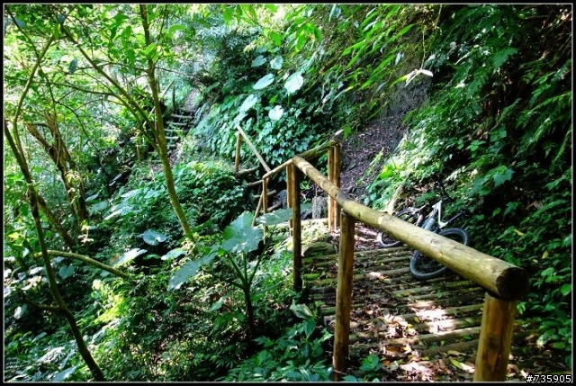 精簡版巴福越嶺~~福山段半日行