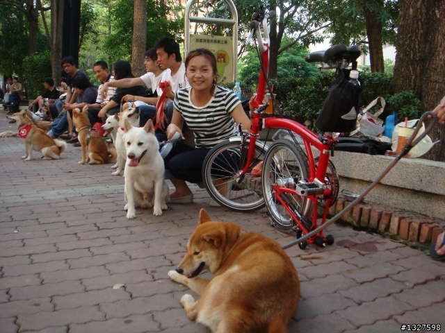 分享我的Brompton~~