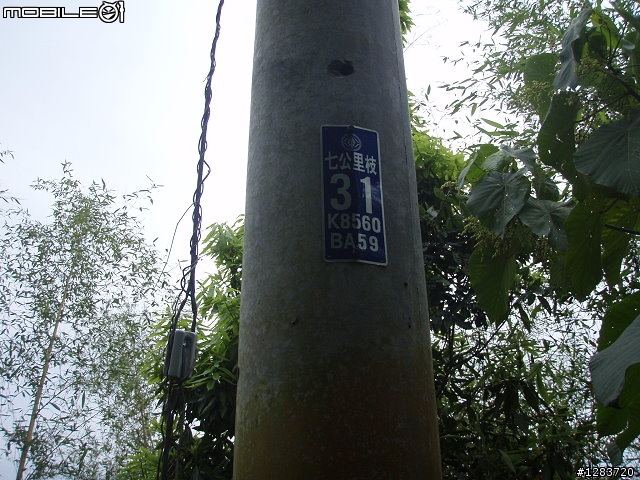 人倫林道鬥鬥遊