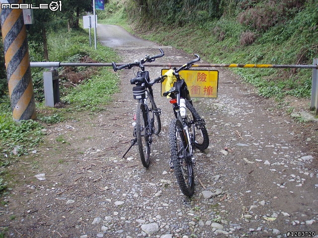 人倫林道鬥鬥遊