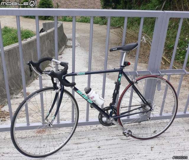 15歲之依然頭好壯壯 KHS R5000