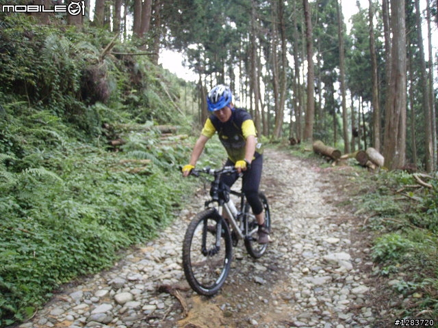 人倫林道鬥鬥遊