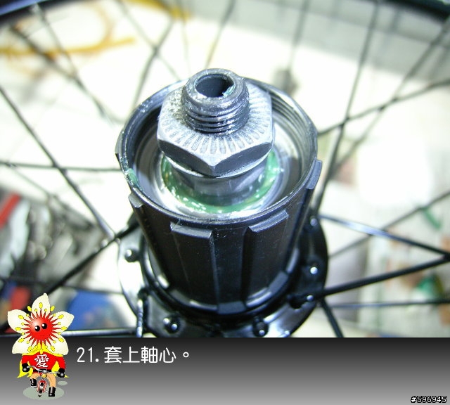 [分享]DAHON SP8後輪花鼓上油(多圖說明)