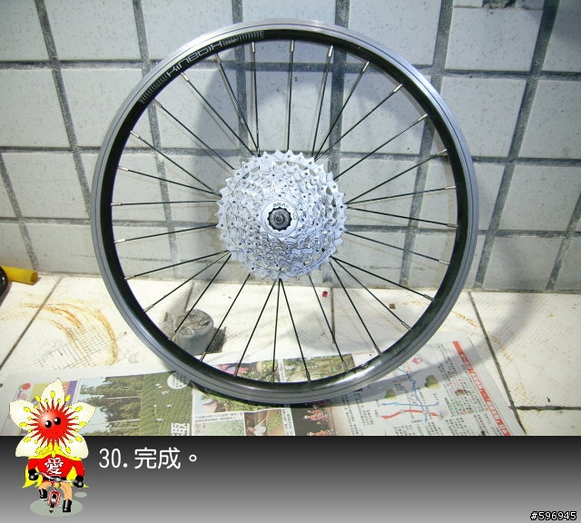 [分享]DAHON SP8後輪花鼓上油(多圖說明)