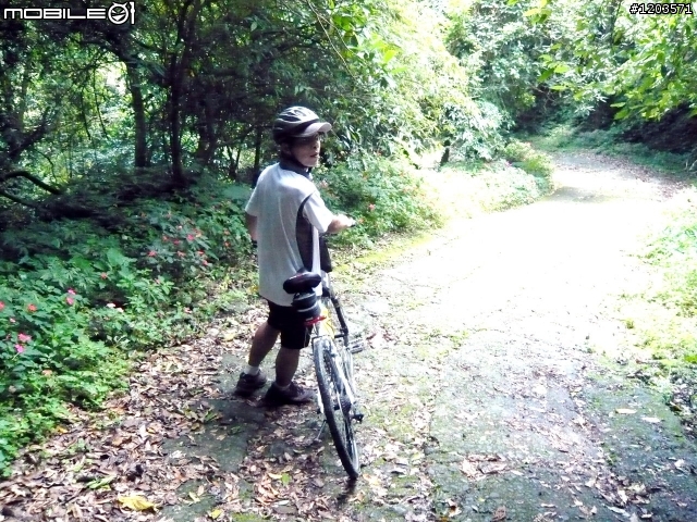 翡翠森林.跨嶺前行