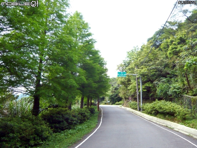 翡翠森林.跨嶺前行