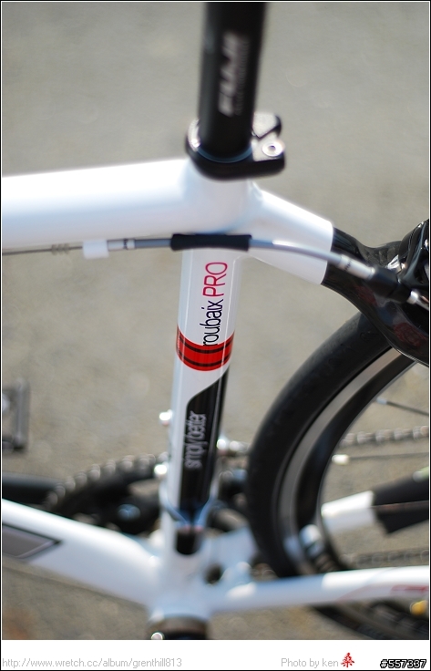 《分享》09年 FUJI Roubaix Pro RPO
