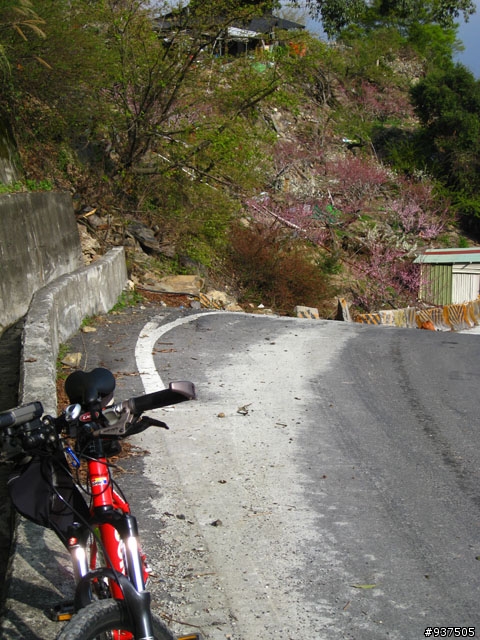 羅東→四季→梨山→大禹嶺→關原→太魯閣→新城→羅東