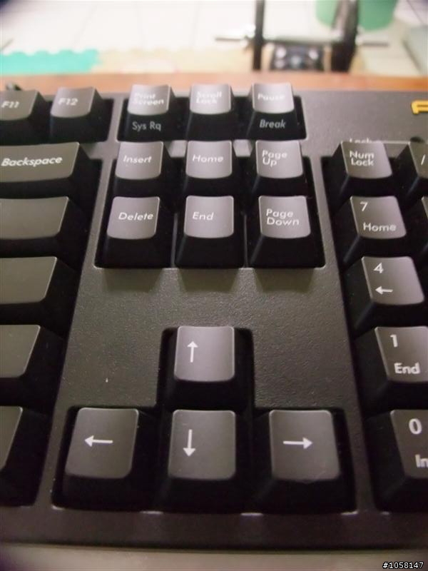 【雅】Filco(黑軸) V.S Datacomp(茶軸) 趣味評比