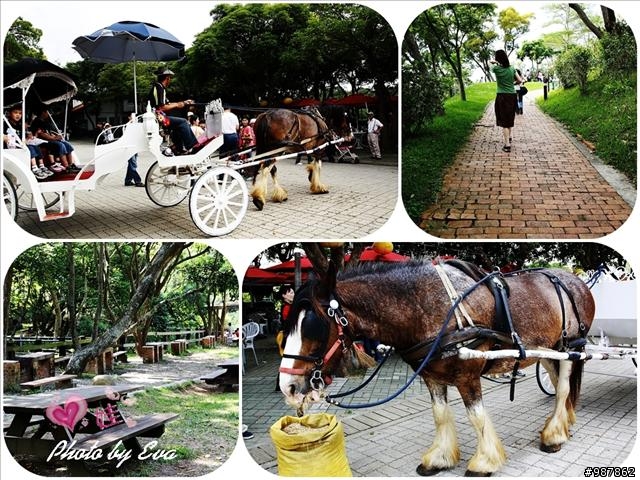 [景點] 飛牛牧場