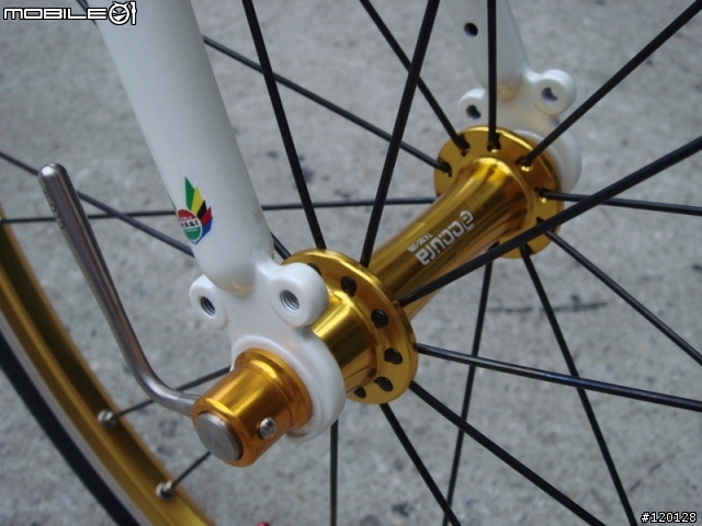 更新！又敗家囉！分享考慮1個多月才買的新車【MASI Mini Velo】