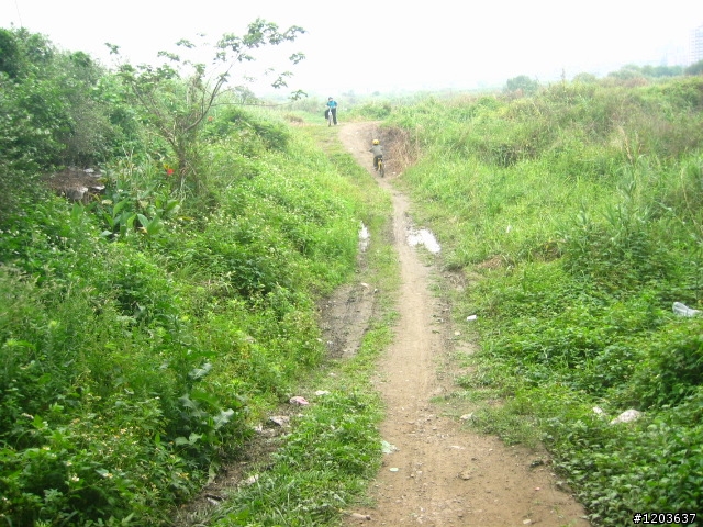 板橋大漢橋下U形土坡