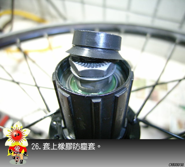 [分享]DAHON SP8後輪花鼓上油(多圖說明)