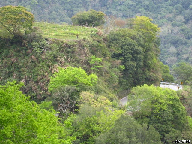 羅東→四季→梨山→大禹嶺→關原→太魯閣→新城→羅東