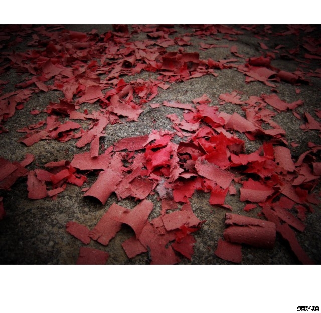 開始了..鹿港沿海一個嚴肅的習俗 [送肉棕]