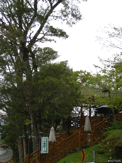 羅東→四季→梨山→大禹嶺→關原→太魯閣→新城→羅東