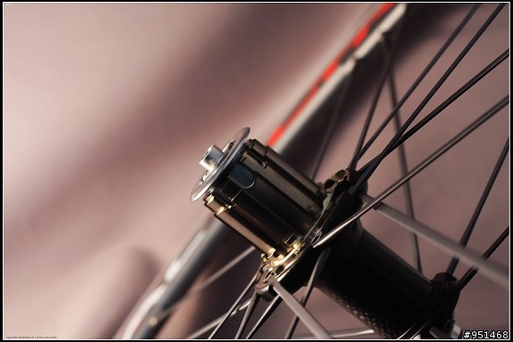 Racing Zero & Campy Shamal 三種系統棘輪座