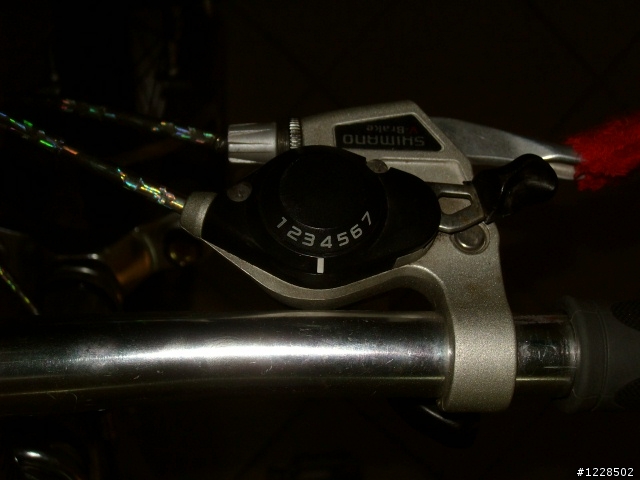 [老車分享]!與眾不同-"銀天使"!