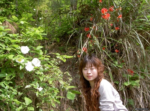 田園與美女