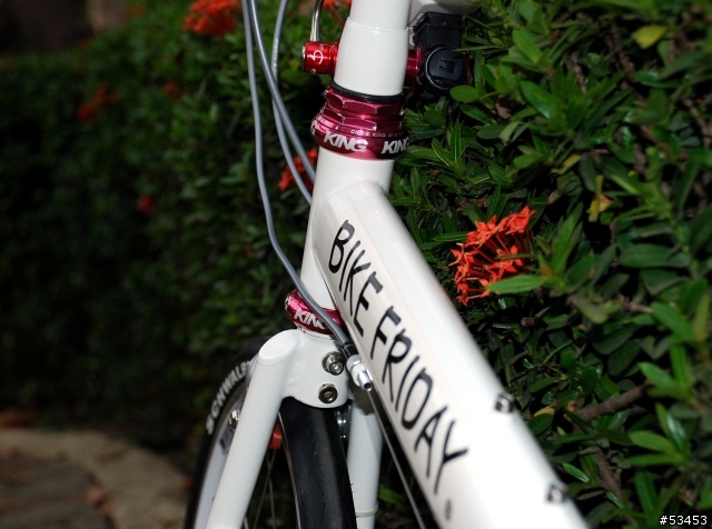 Bike Friday 口袋火箭 (小白號) 改裝最終版