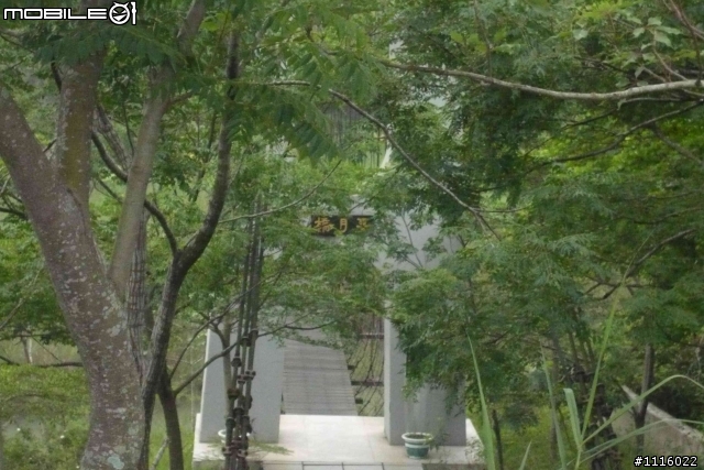 台南 五號樹屋 - 308高地
