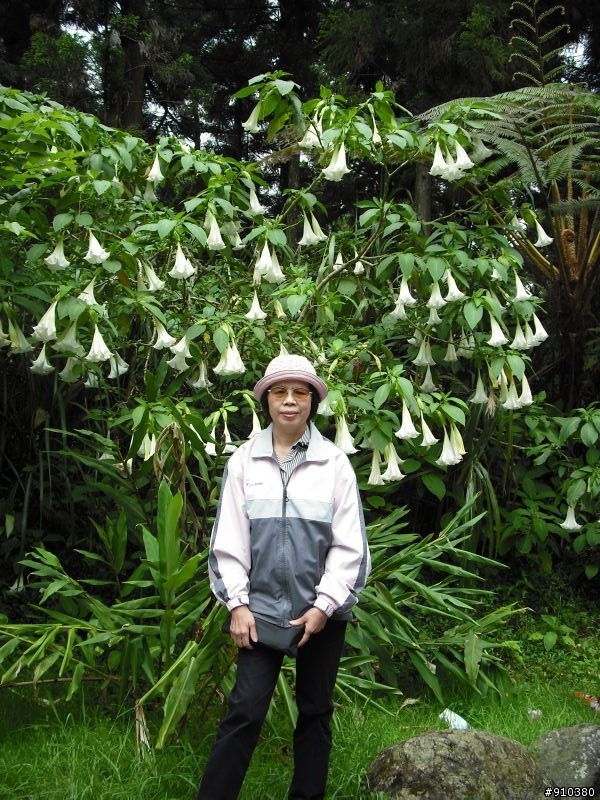 溪頭隨便走走烤肉盃