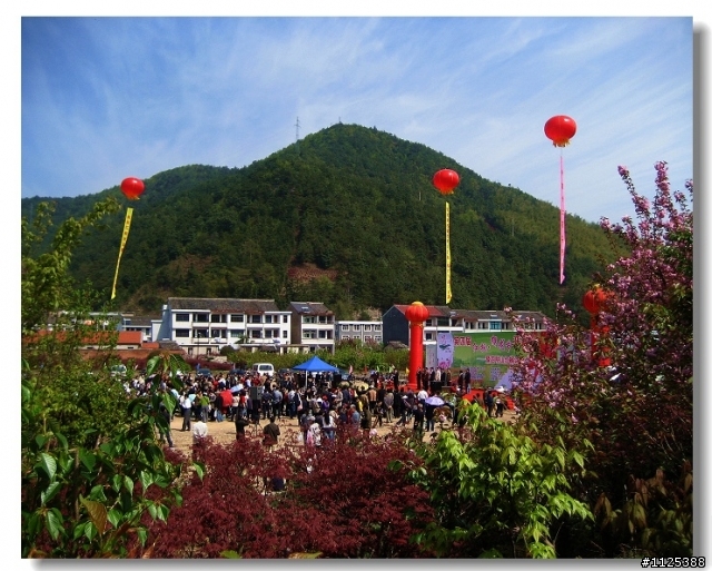★★★偷得浮生半日閑—自駕四明山賞櫻記！