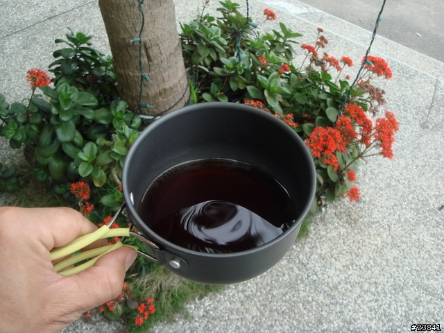 [遊記]20090411~0412-苗栗南庄-單車露營
