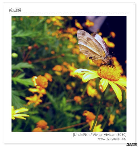 [原創] Vivitar 5050實拍作品分享