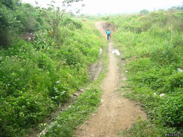 板橋大漢橋下U形土坡