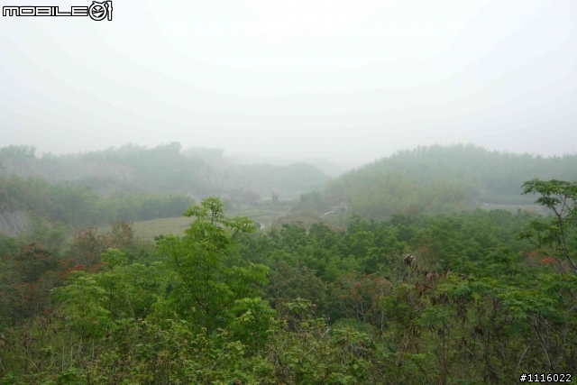 台南 五號樹屋 - 308高地