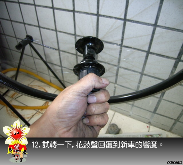 [分享]DAHON SP8後輪花鼓上油(多圖說明)