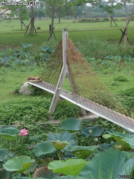 午後亂逛 舊鐵橋公園