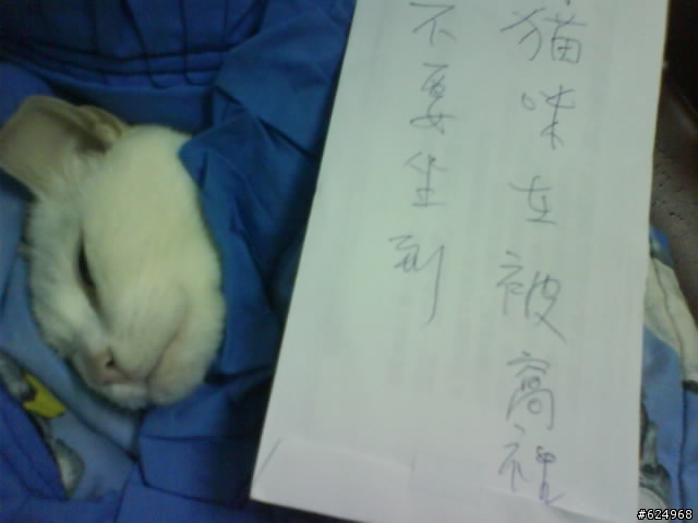 頂樓鐵皮大改造之甜蜜小窩.