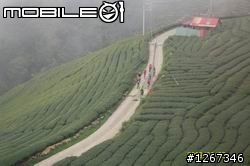 真是一路（靠北）騎路不見了坍塌