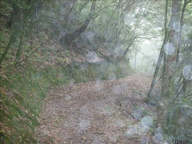福巴越嶺V .S 巴福越嶺