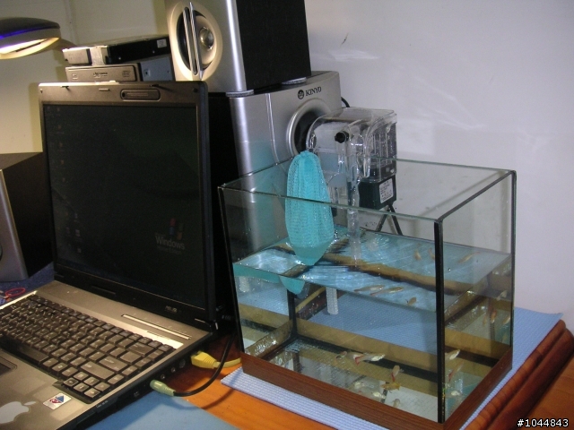 請幫我看看魚缸這樣擺是否對.