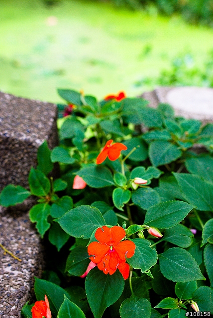 Sigma 28mm F1.8 冷門開箱(04/25補開箱照)