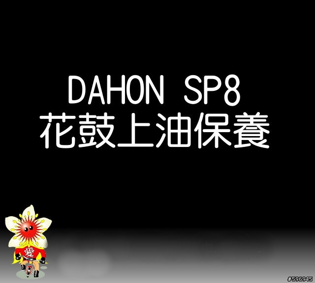 [分享]DAHON SP8後輪花鼓上油(多圖說明)