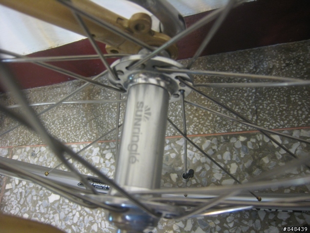 尋找兄弟姐妹車!!!! Terry Classic Reynolds 631 鋼管車!!!!