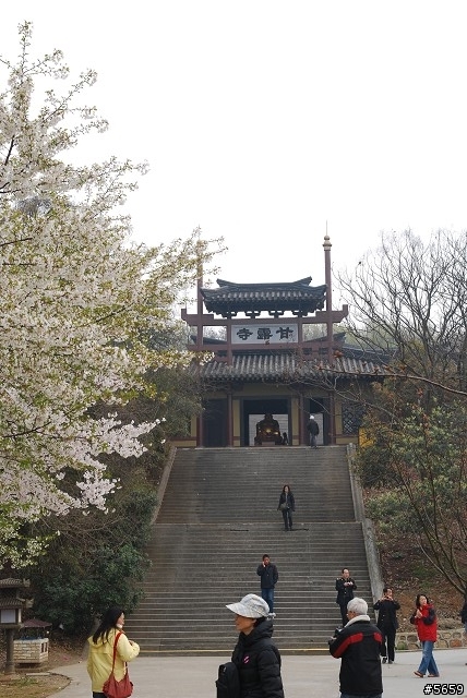 初春江南之旅Part 2-無錫,烏鎮