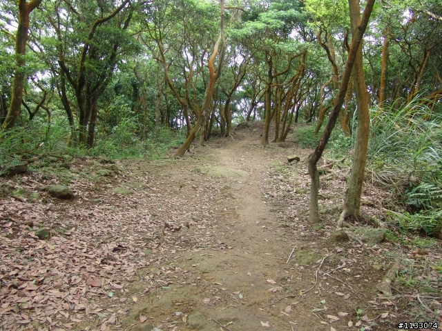 4/27樹林大棟山+輕度OFFROAD