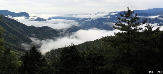 2009~嘉明湖~5D2新機上山