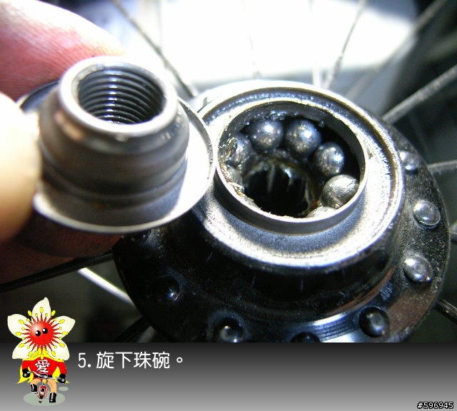 [分享]DAHON SP8後輪花鼓上油(多圖說明)