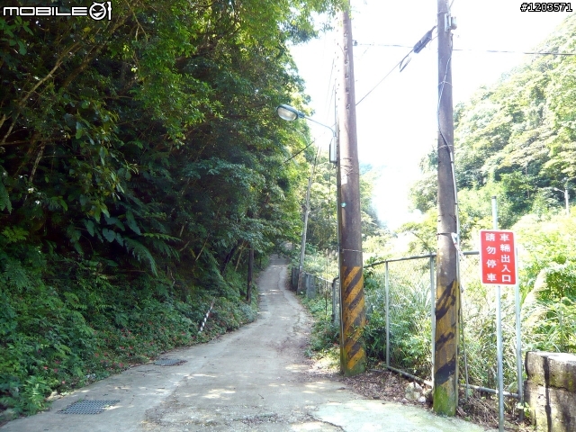 翡翠森林.跨嶺前行