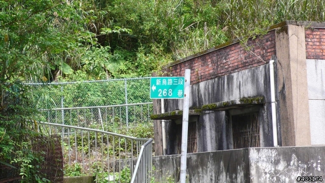 新店烏來 -三白 一黑 一棕 需要你的幫忙