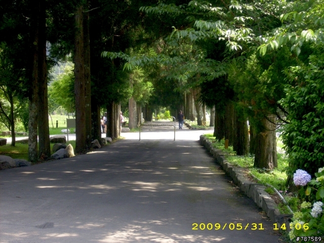 5/31 中陌武陵農場快閃盃...照片心得集中區