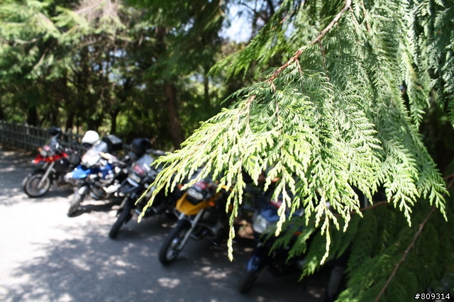 我愛彎道之鳥族花蓮會師