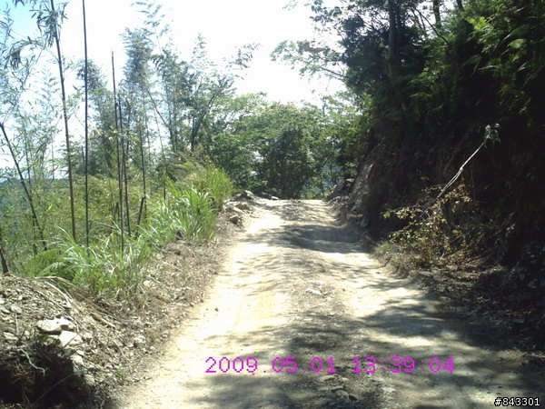 獨闖馬美林道&武道能敢