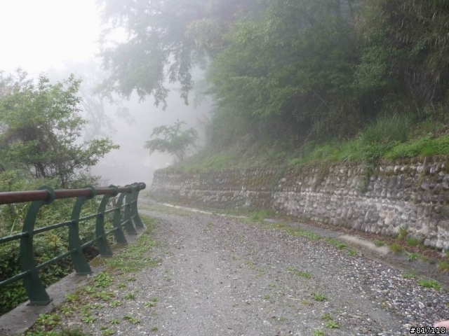 [分享]三天三夜，南部橫貫公路+藤枝國家森林遊樂區